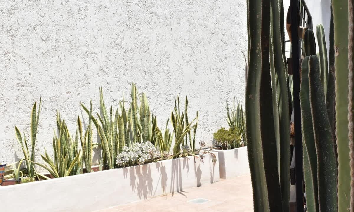 Photo of Outdoor in Centro Historico