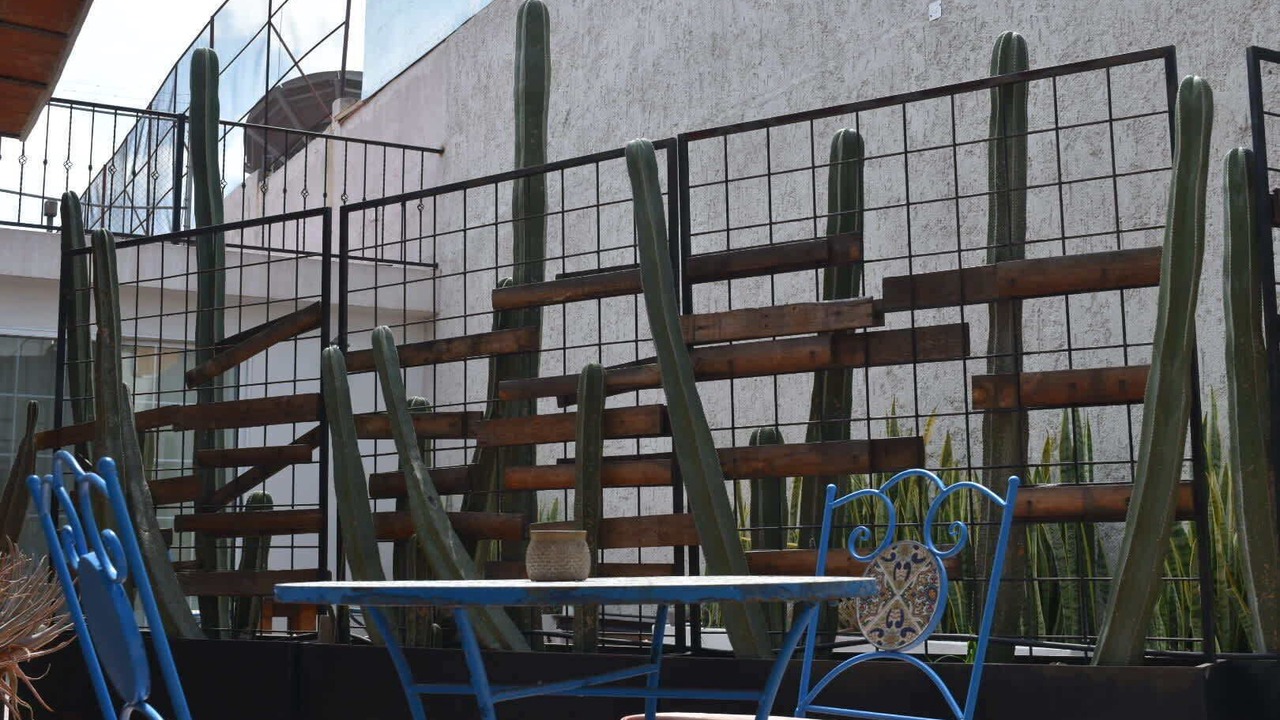 Photo of Outdoor in Centro Historico