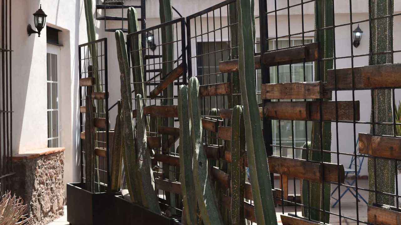Photo of Outdoor in Centro Historico