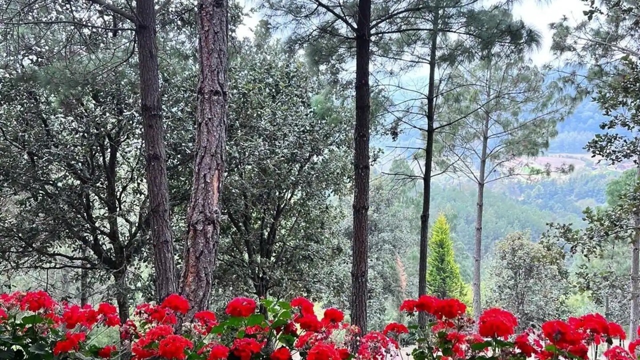 Photo of Outdoor in Tecpan Guatemala