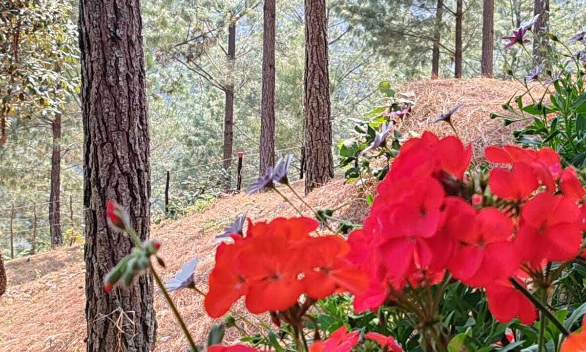 Photo of Outdoor in Tecpan Guatemala