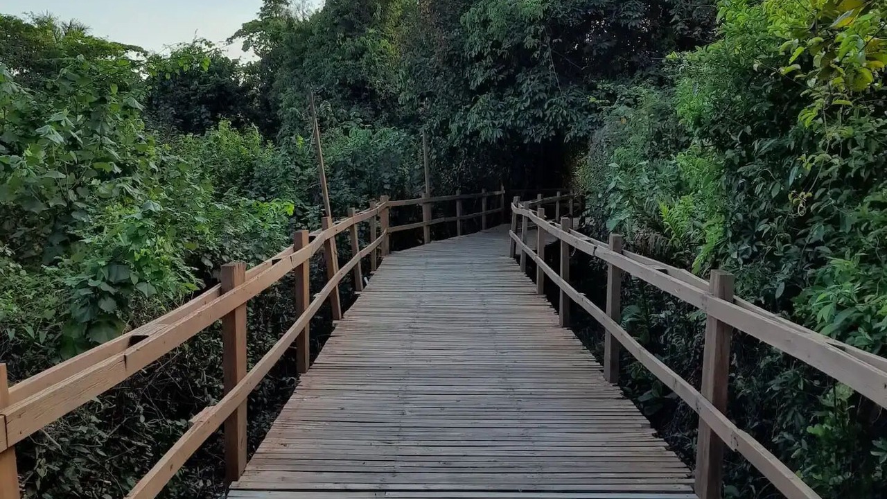 Photo of Outdoor in Zona 1
