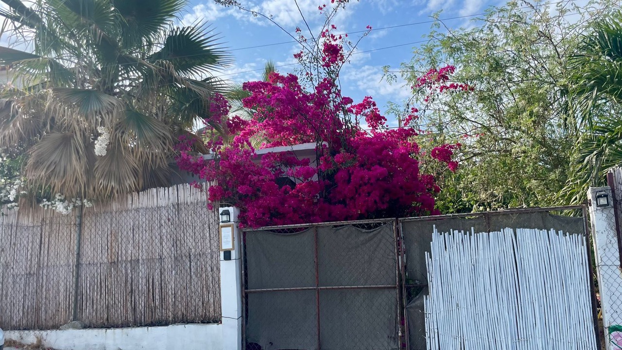 Photo of Outdoor in Downtown San Jose del Cabo