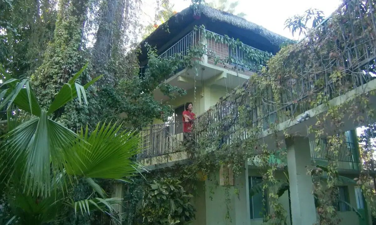 Photo of Outdoor in Santa Rosa