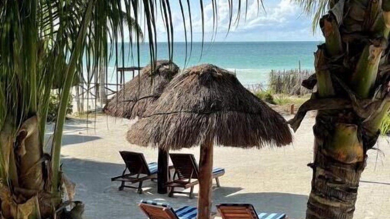 Photo of Outdoor in Isla Holbox