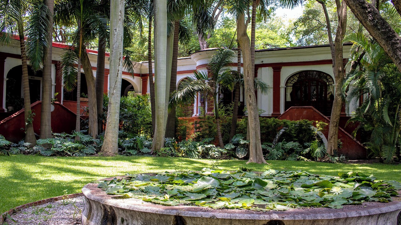 Photo of Outdoor in Yautepec