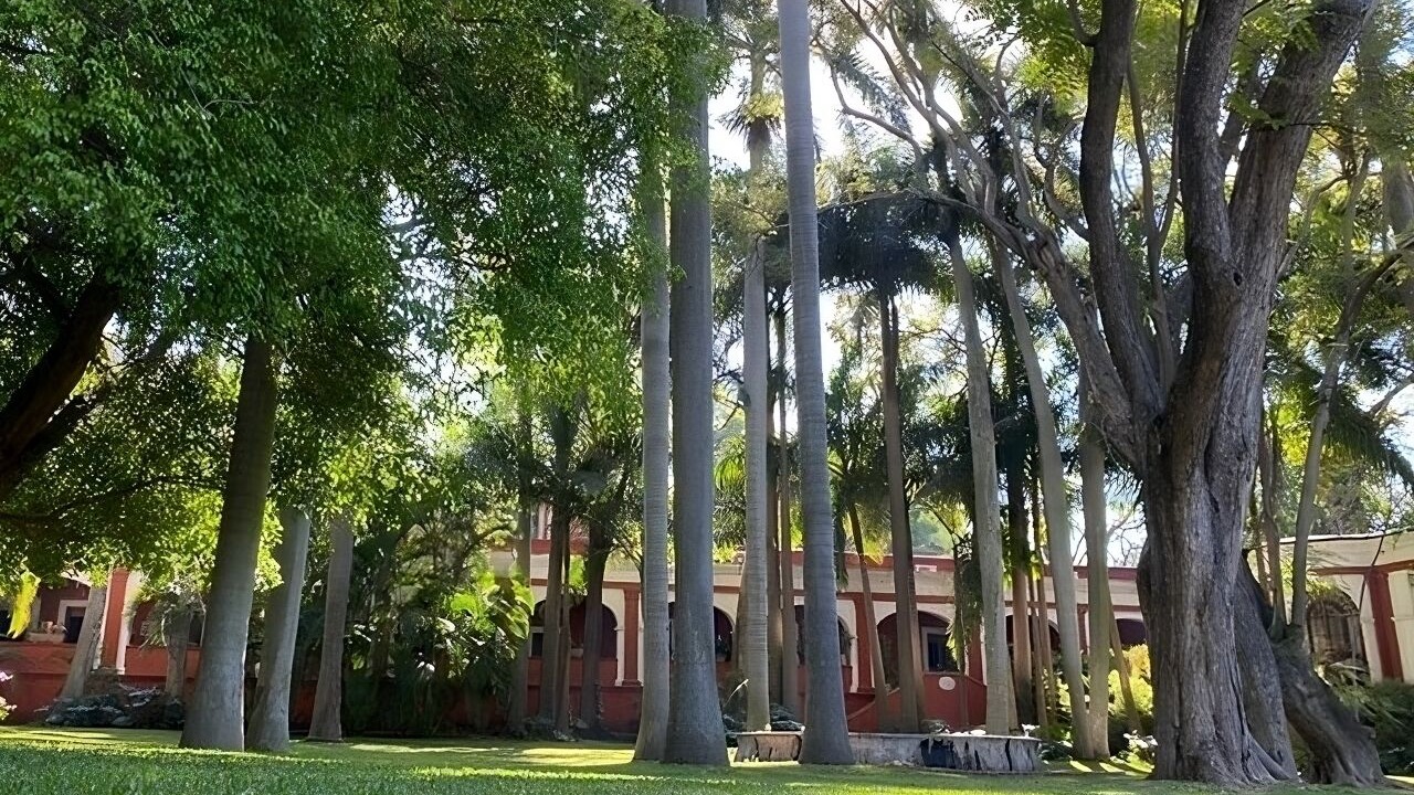 Photo of Outdoor in Yautepec