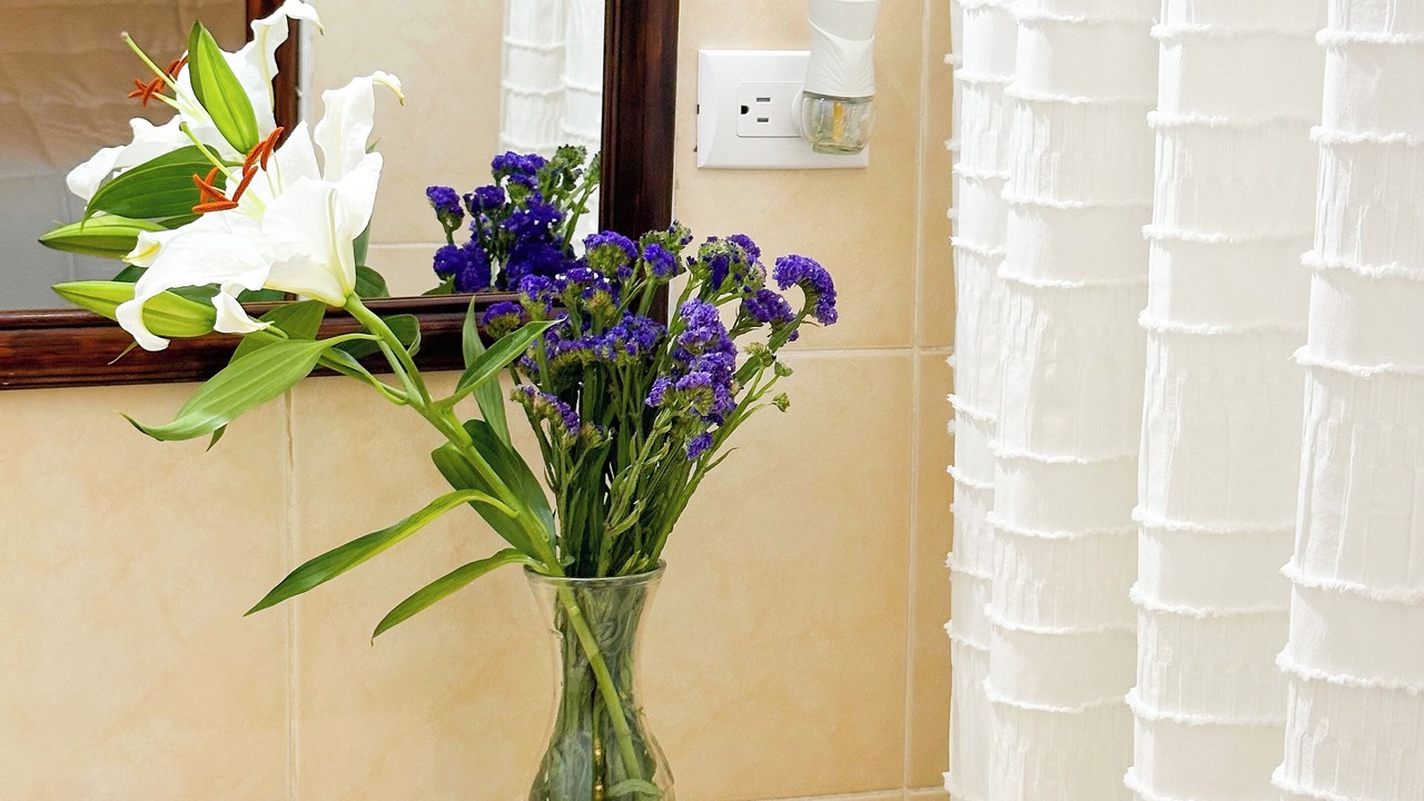 Photo of Bathroom in Ciudad Vieja