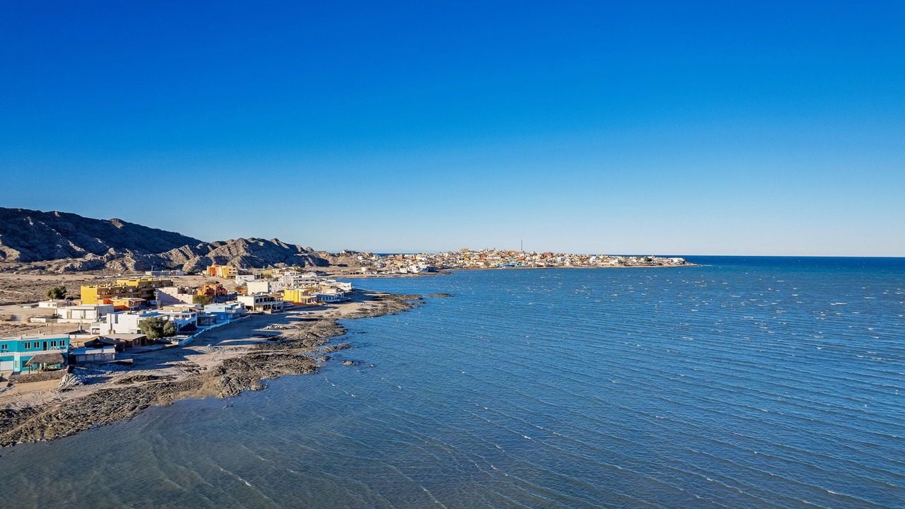 Photo of Others in Cholla Bay