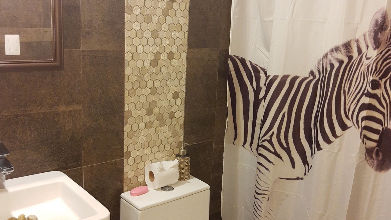Photo of Bathroom in Zona 15