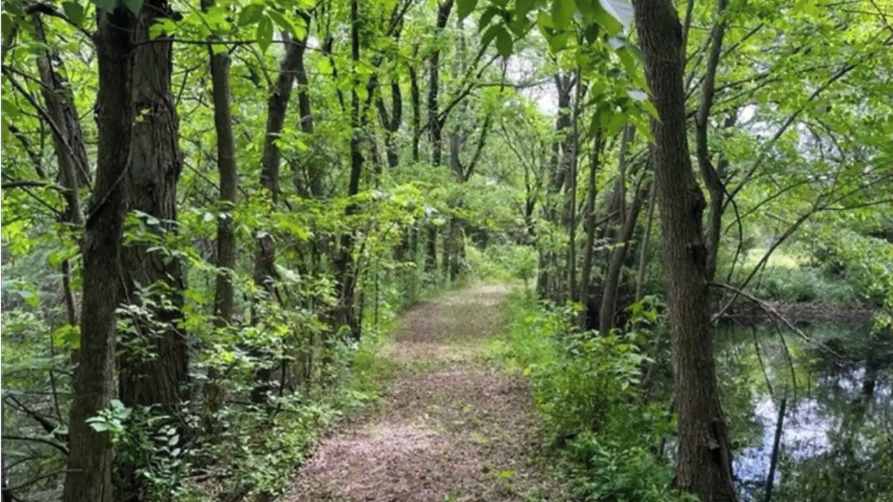 Photo of Others in Princeton