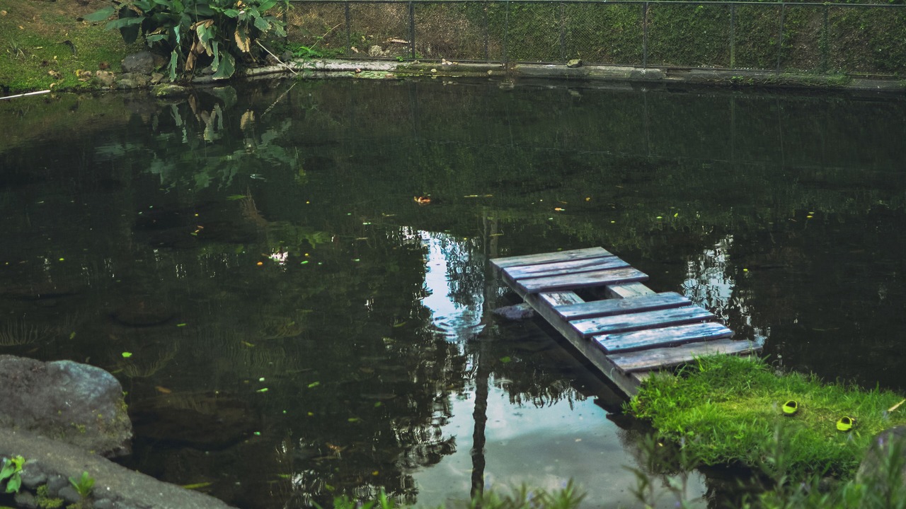 Photo of Outdoor in Santa Catarina Barahona