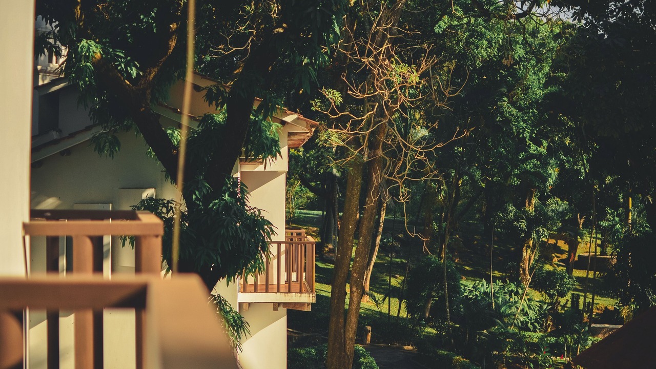 Photo of Outdoor in Santa Catarina Barahona