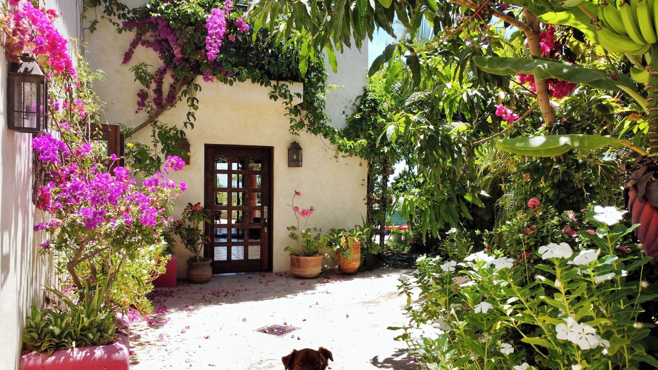 Photo of Outdoor in San Jose del Cabo