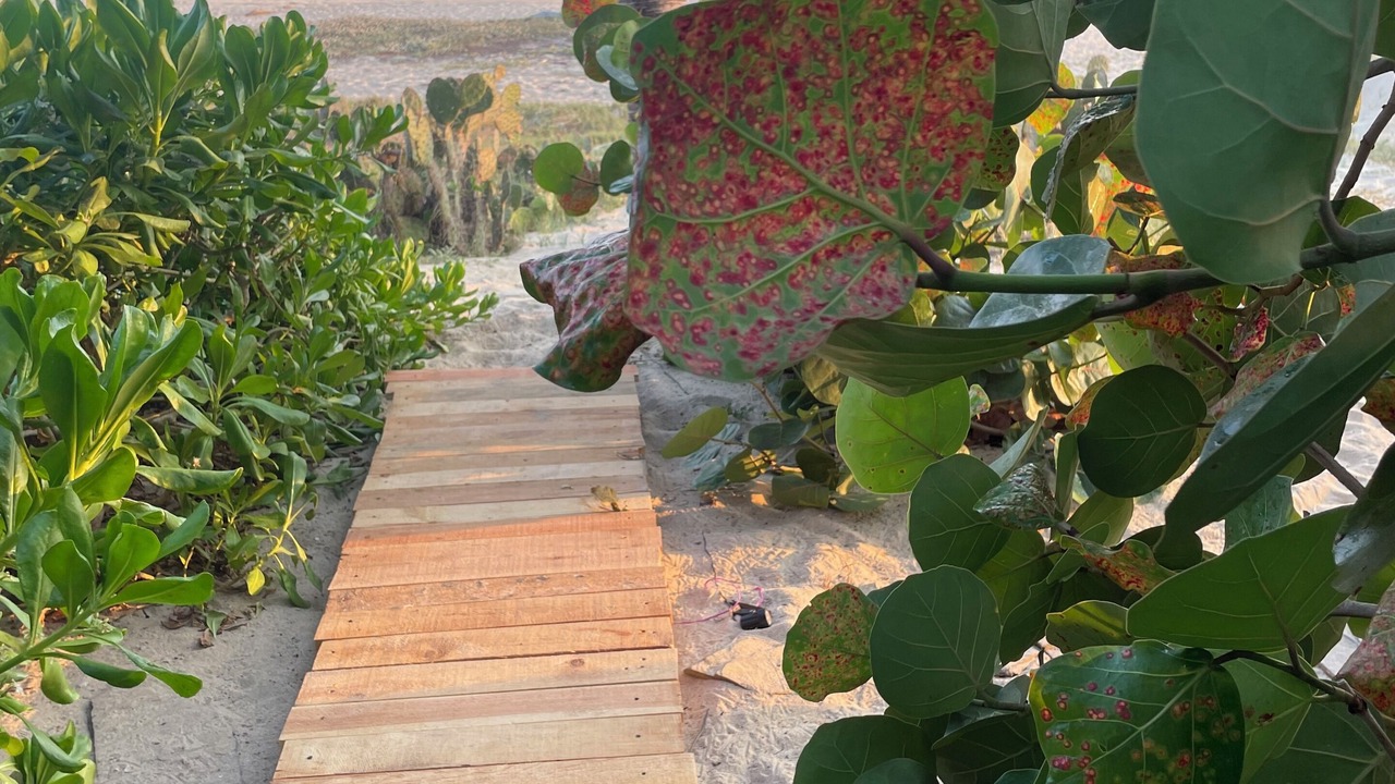 Photo of Others in Santa Maria Tonameca