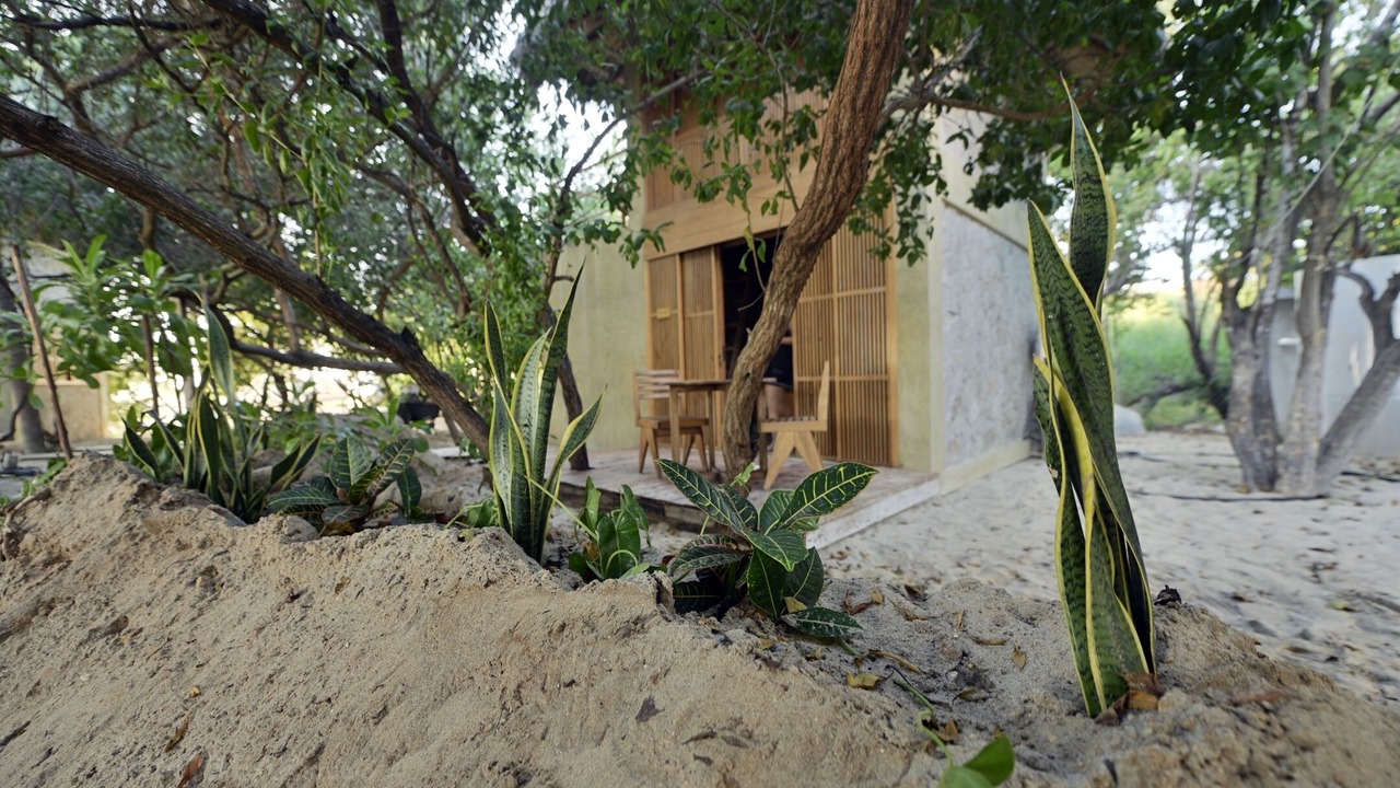 Photo of Outdoor in Santa Maria Tonameca