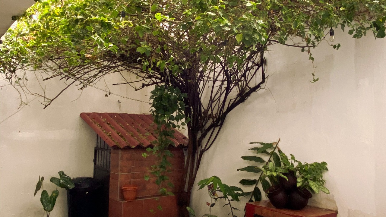 Photo of Outdoor in Antigua Guatemala