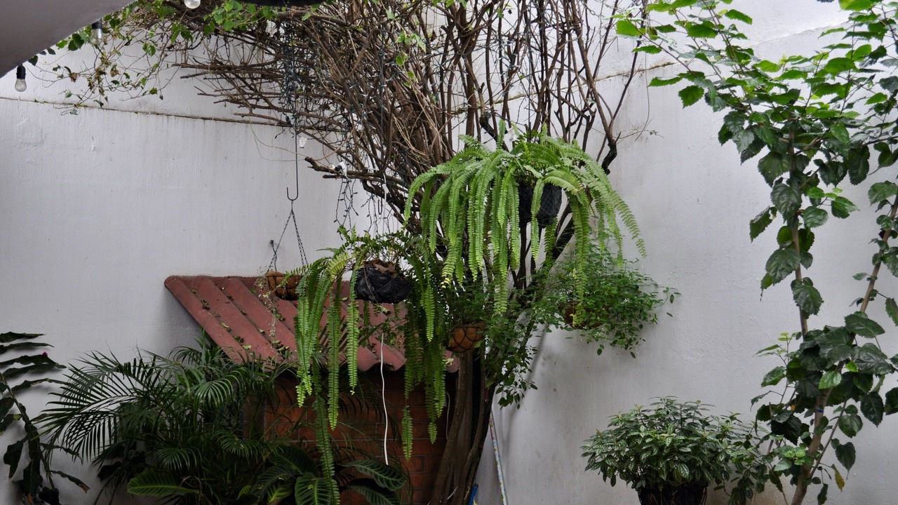 Photo of Outdoor in Antigua Guatemala
