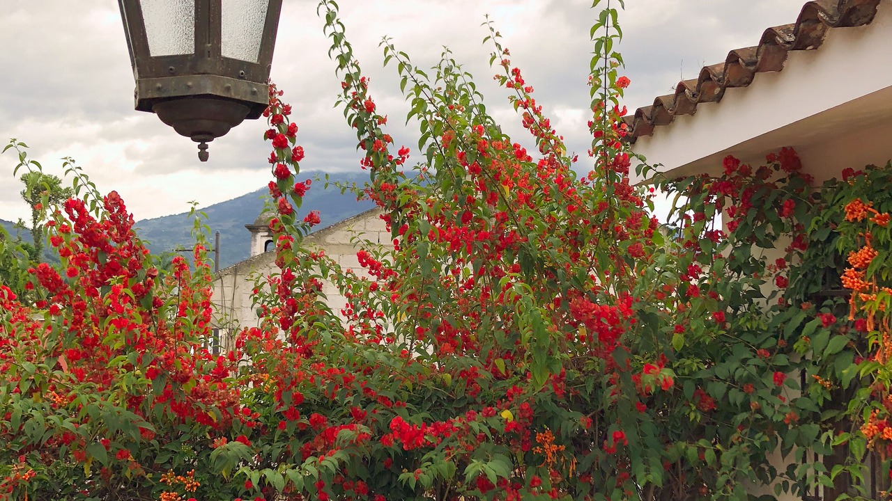 Photo of Outdoor in Antigua Guatemala