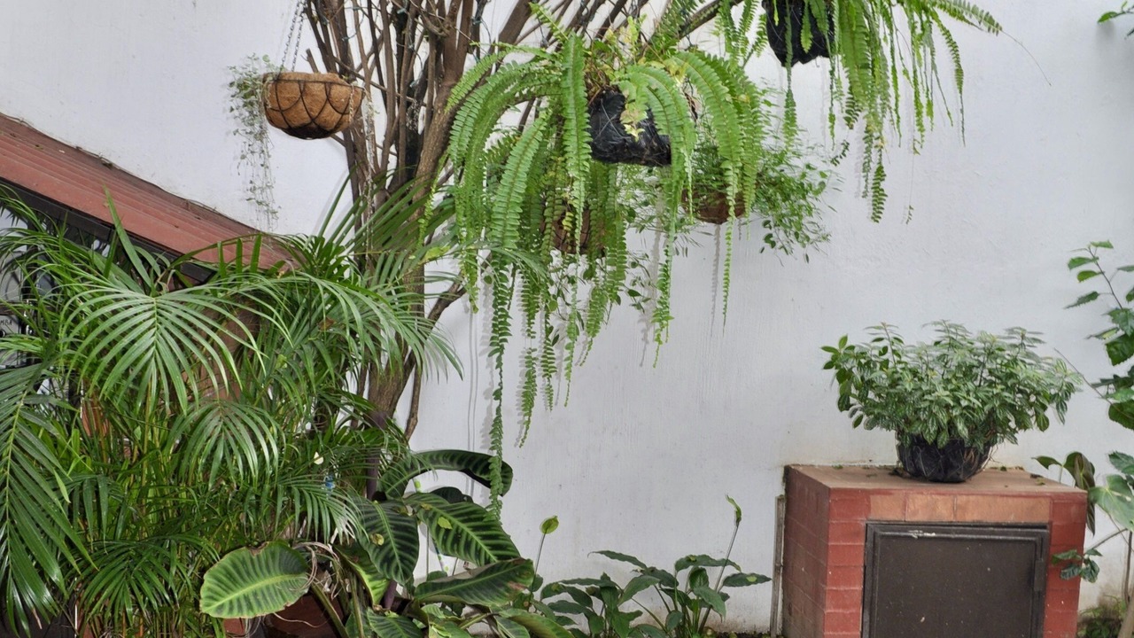 Photo of Outdoor in Antigua Guatemala