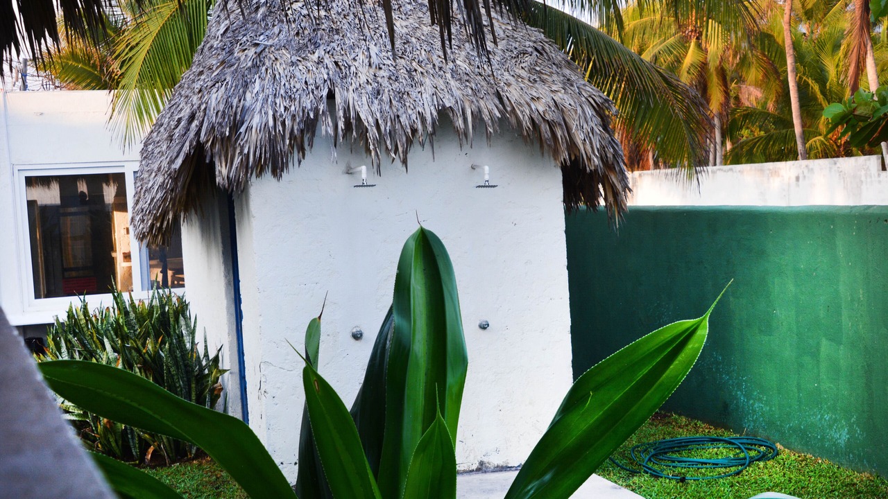 Photo of Others in Monterrico