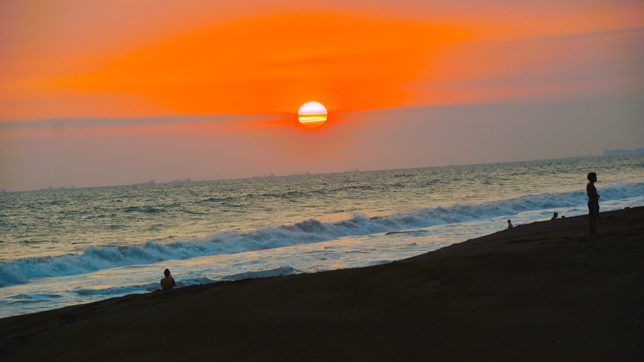 Photo of Others in Monterrico