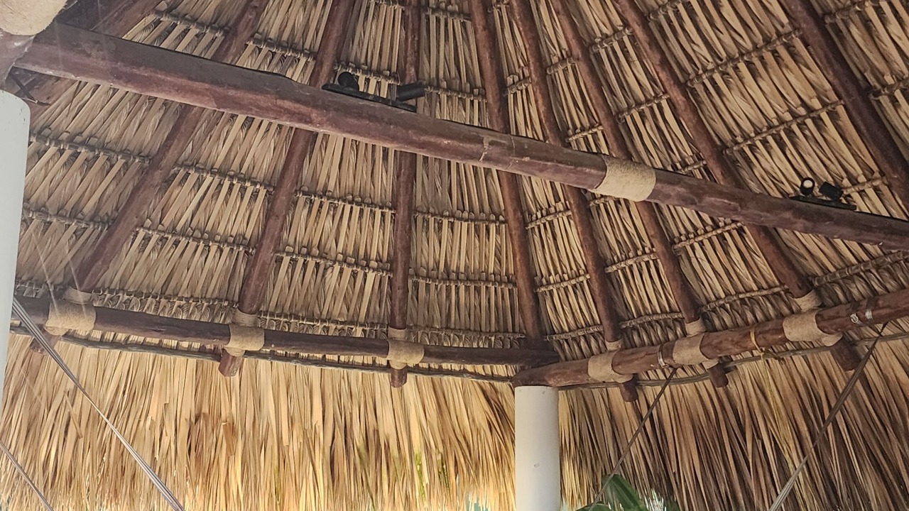 Photo of Others in Monterrico