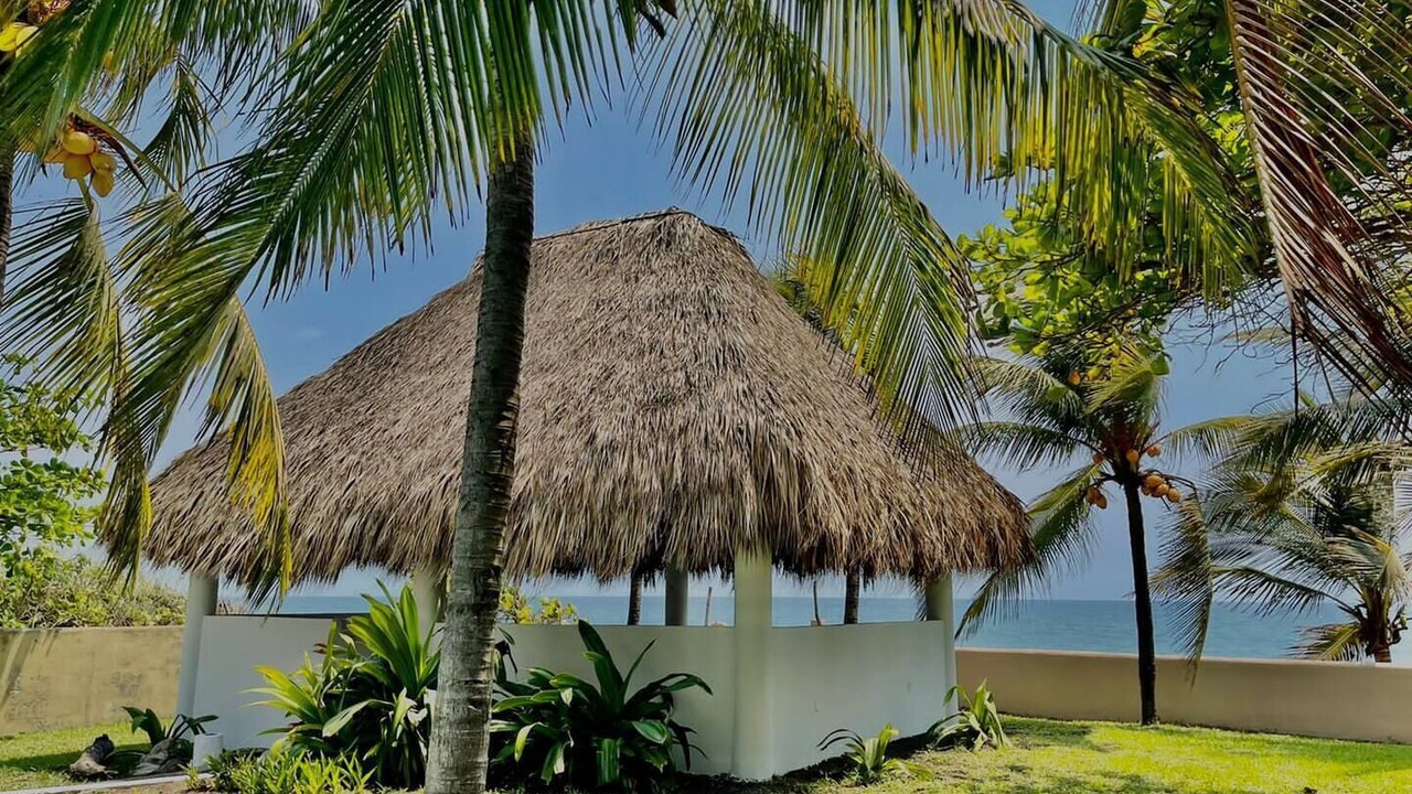 Photo of Others in Monterrico