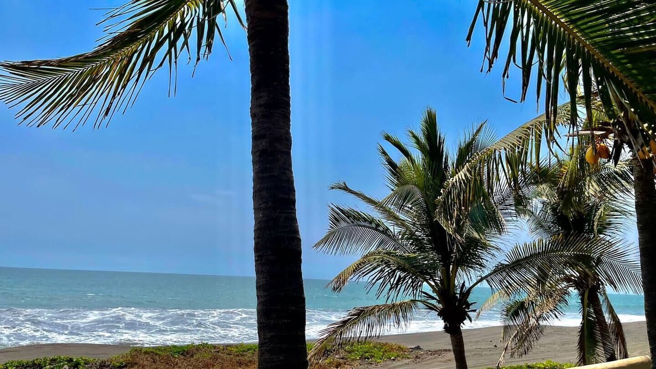 Photo of Others in Monterrico