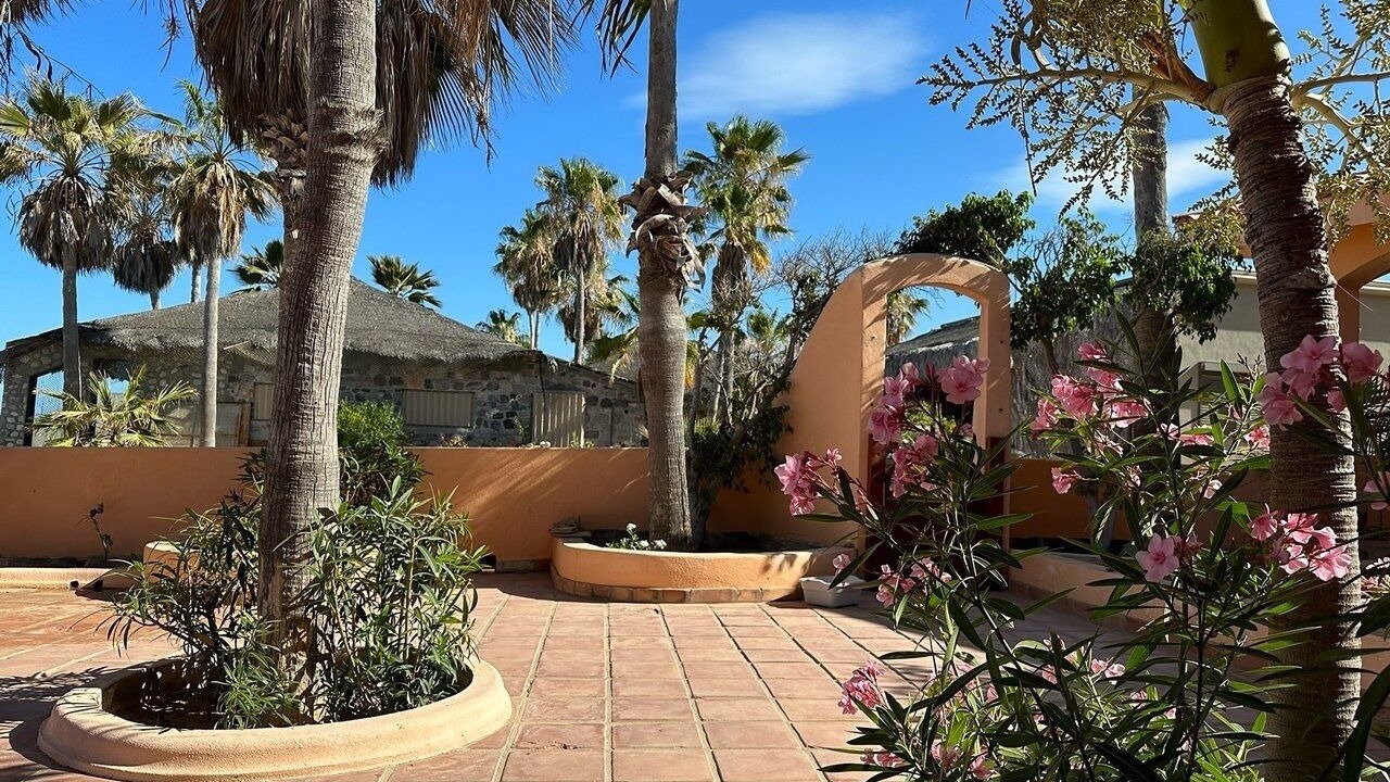 Photo of Others in Cabo Pulmo