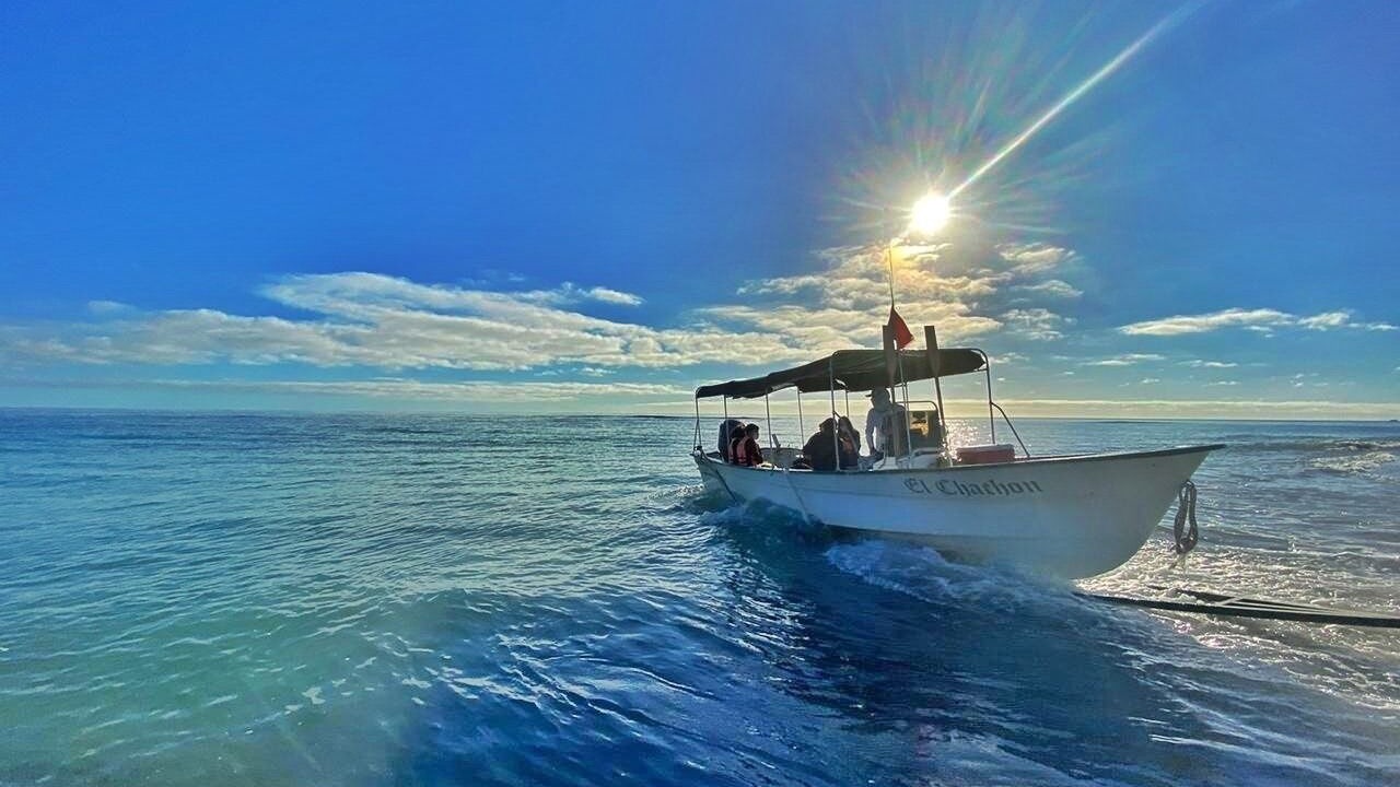 Photo of Others in Cabo Pulmo