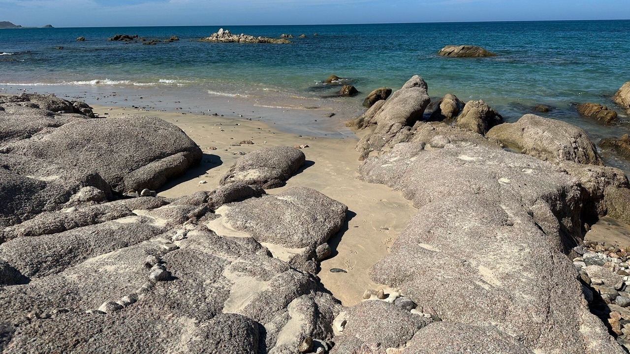 Photo of Others in Cabo Pulmo