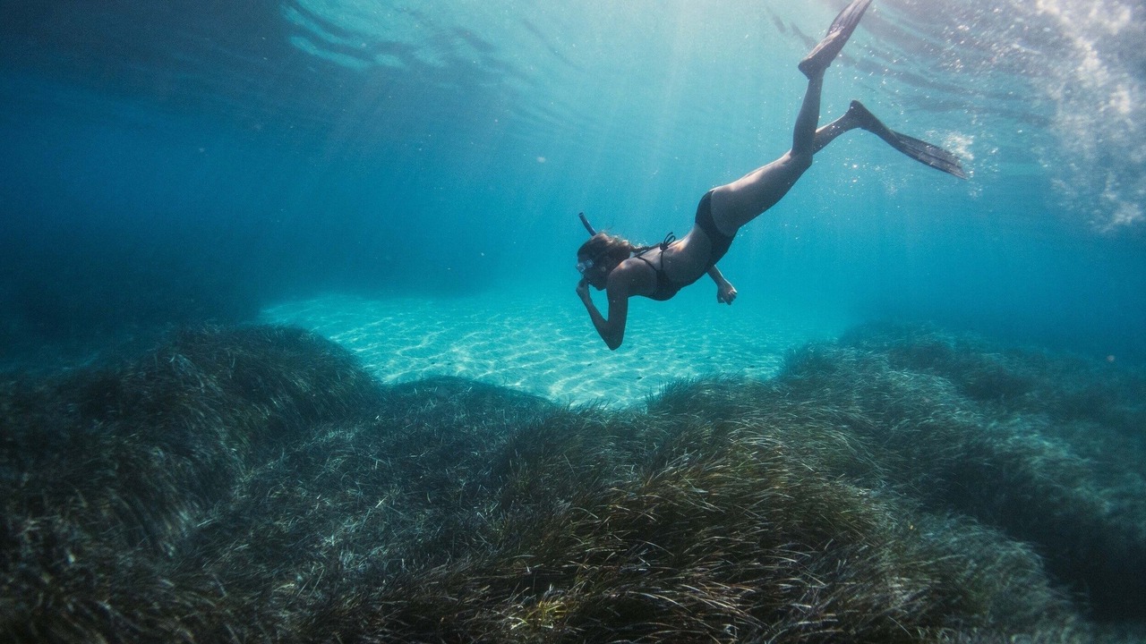 Photo of Others in Cabo Pulmo