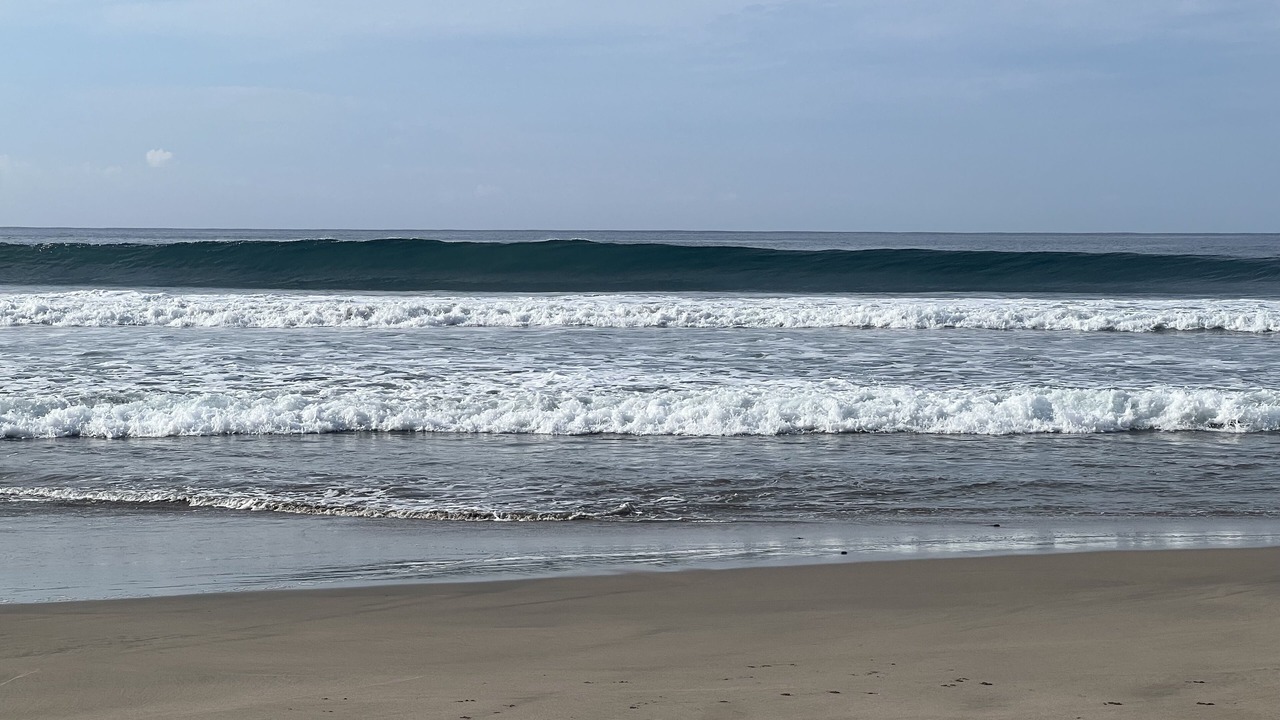 Photo of Others in Troncones