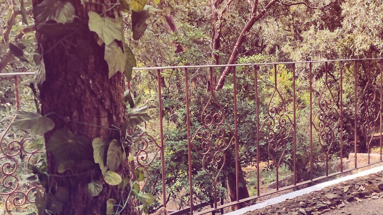 Photo of Outdoor in Santa Catarina