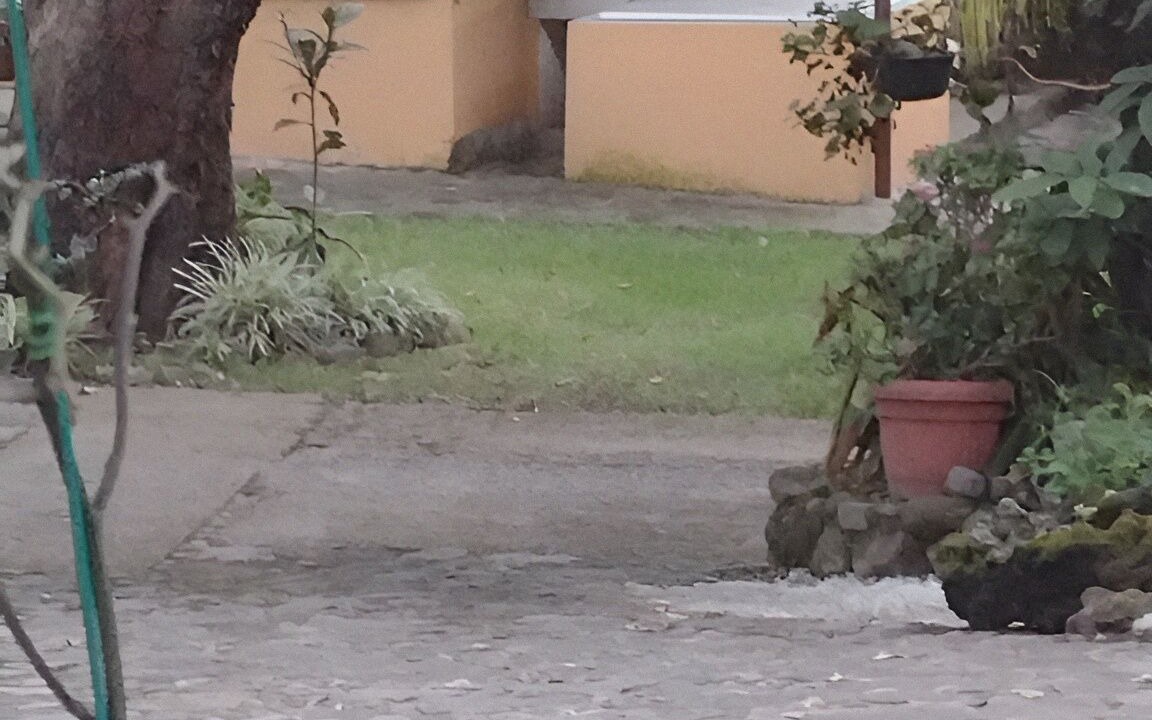 Photo of Outdoor in Santa Catarina