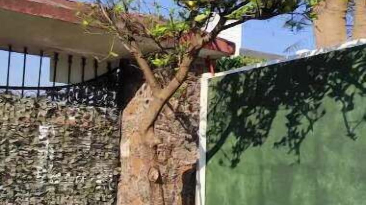 Photo of Outdoor in Oaxtepec