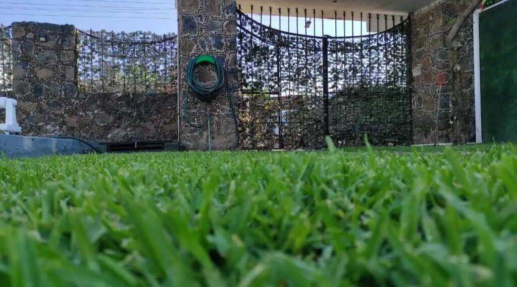 Photo of Outdoor in Oaxtepec