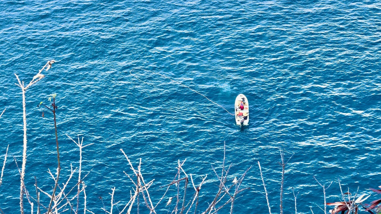 Photo of Others in Las Playas