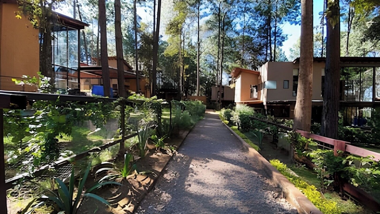 Photo of Others in Valle de Bravo