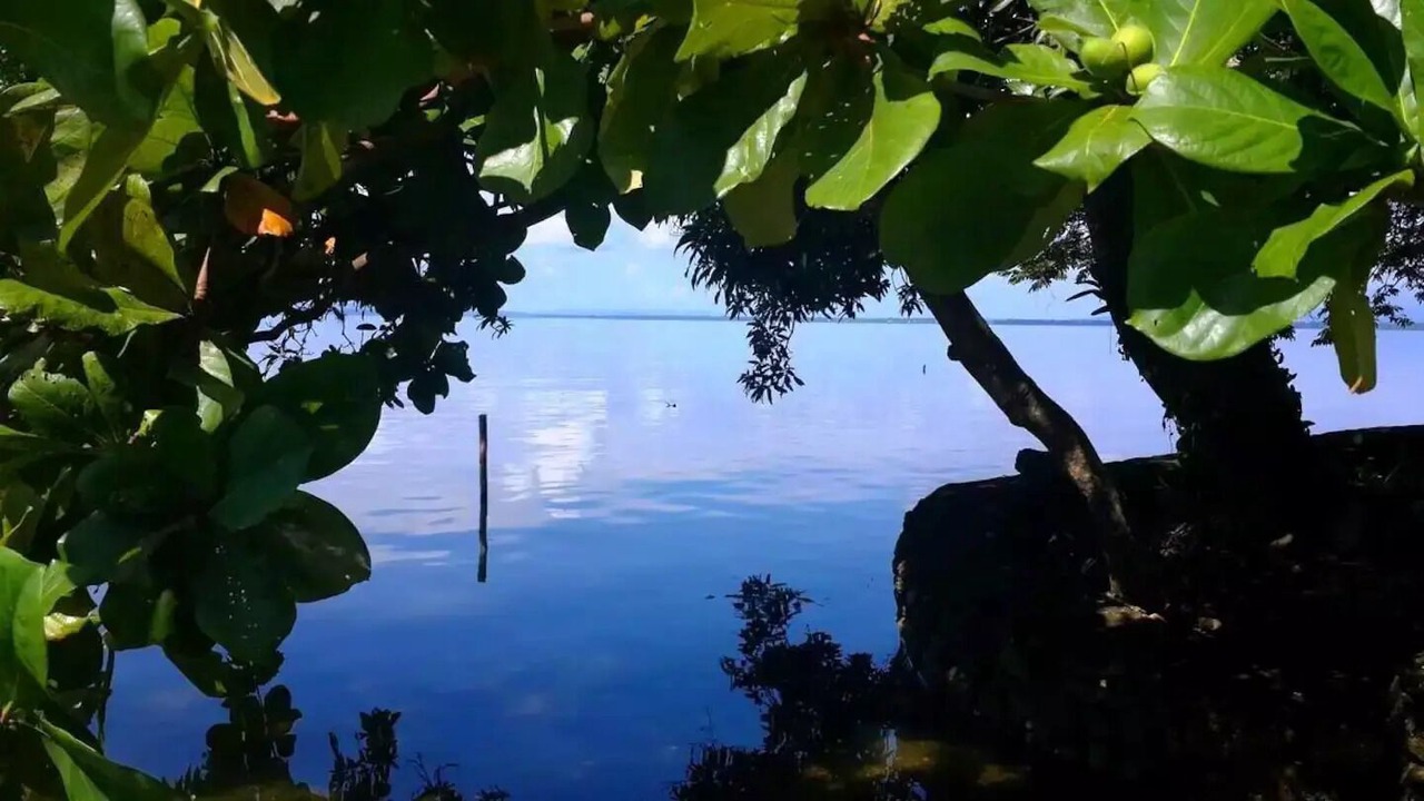 Photo of Outdoor in Mariscos