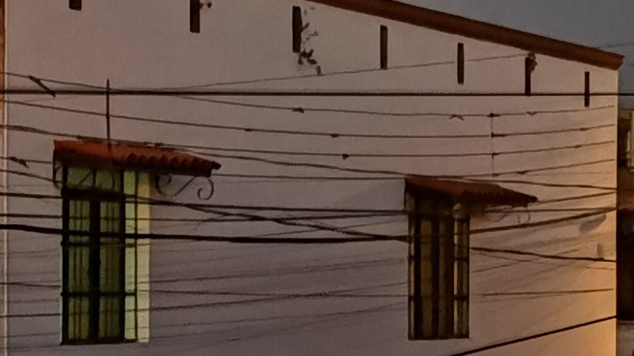 Photo of Outdoor in Guadalajara