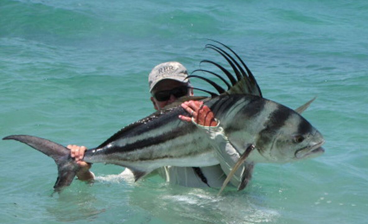 Photo of Others in Los Barriles