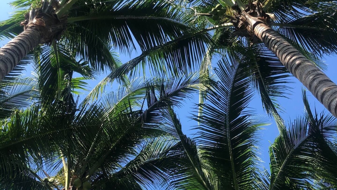 Photo of Outdoor in Monterrico