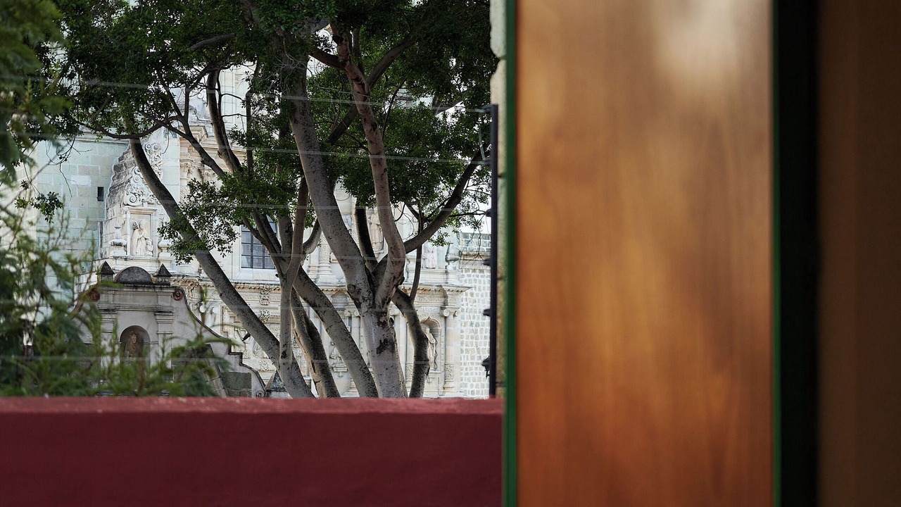 Photo of Others in Reforma