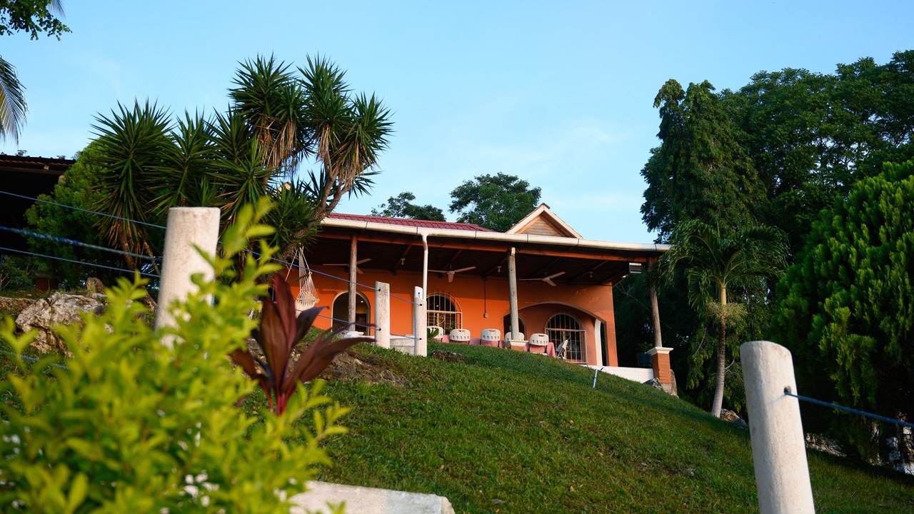 Photo of Outdoor in Flores