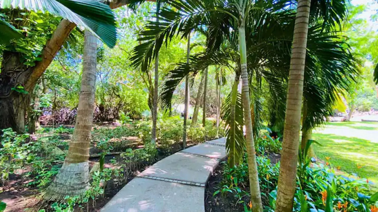 Photo of Outdoor in Iztapa