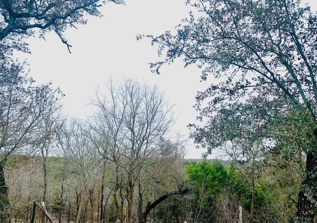 Photo of Outdoor in San Marcos
