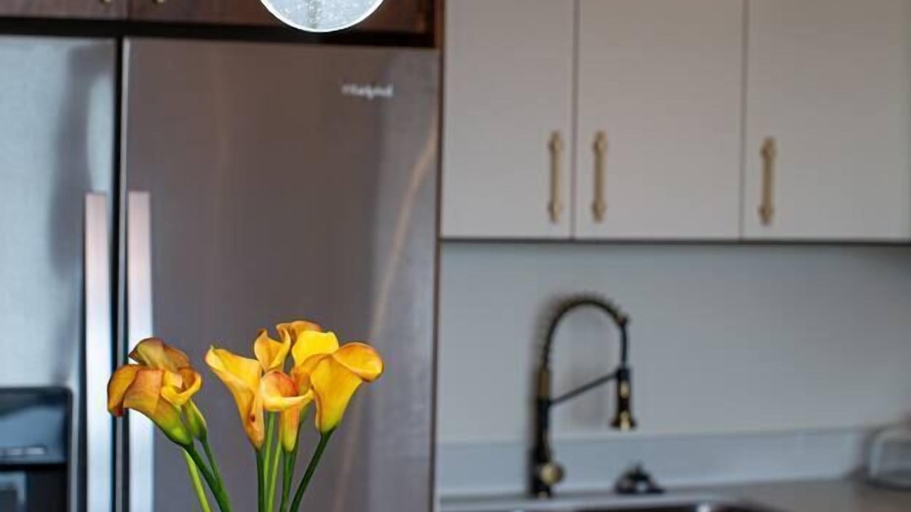 Photo of Kitchen in Diaz Ordaz