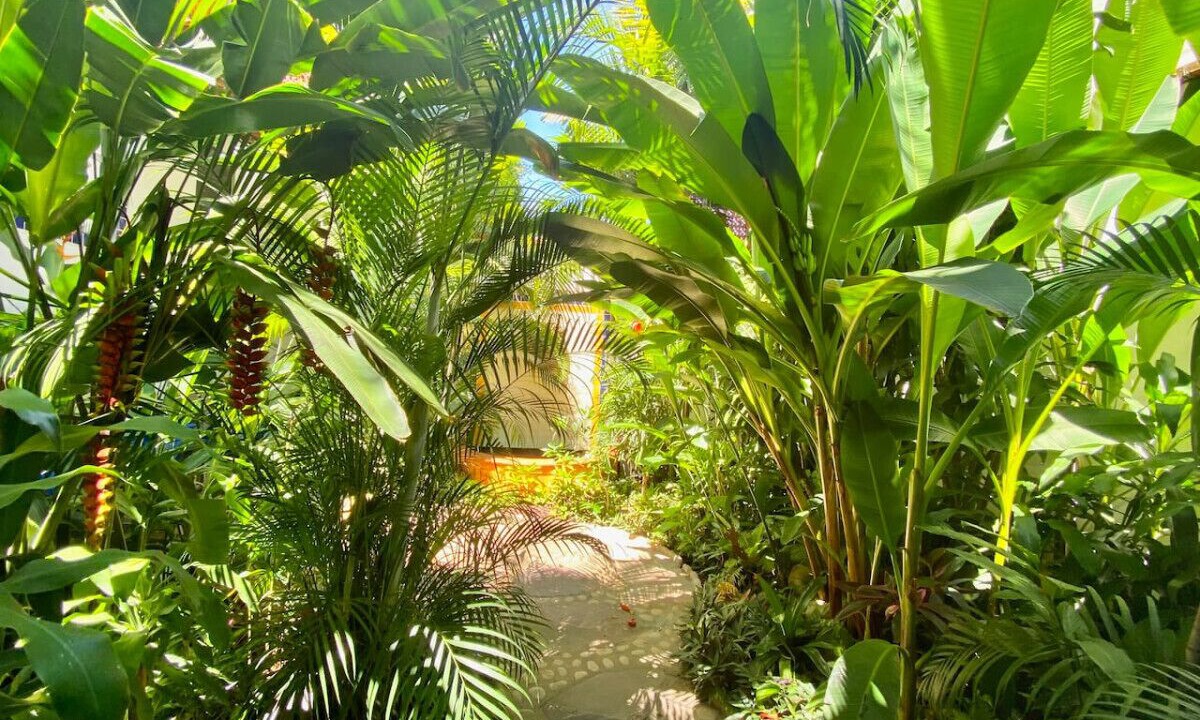 Photo of Outdoor in Proyecto escola